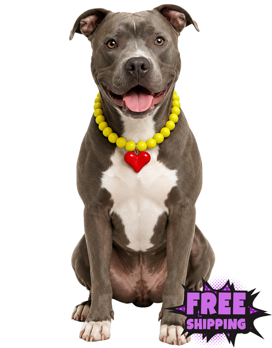 SHOW THEM THE LOVE NECKLACE-KANSAS CITY CHIEFS DOG