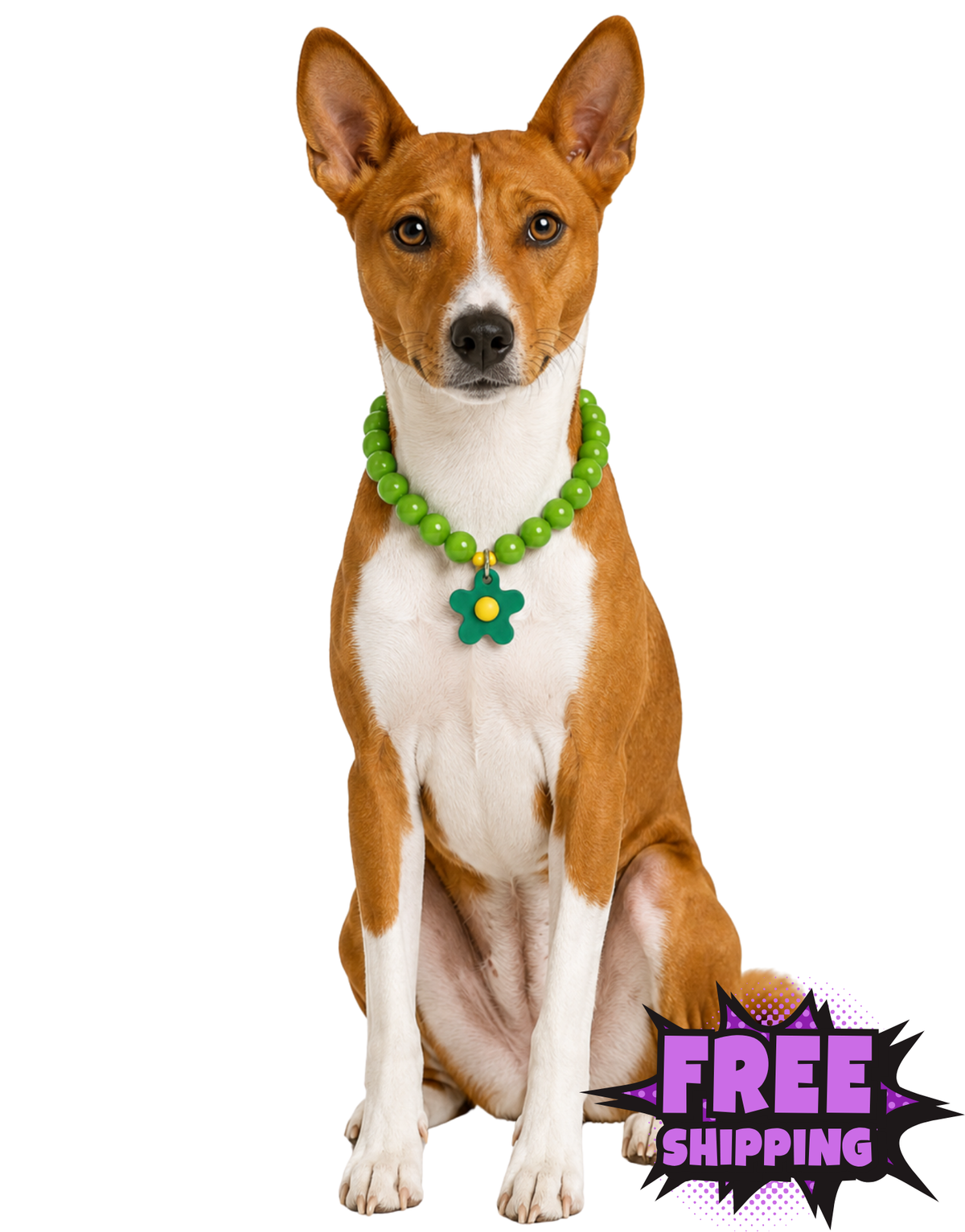 FLOWER POWER DOG NECKLACE-GREEN BAY PACKER DOG