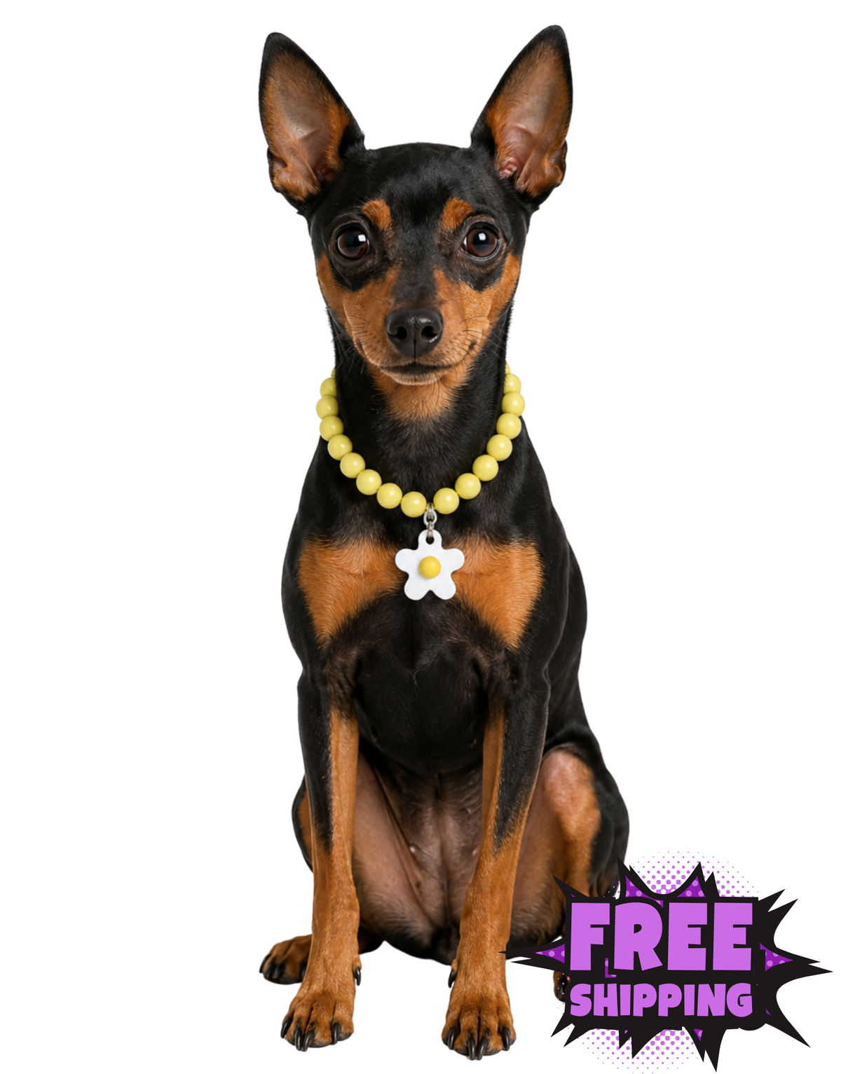 FLOWER POWER DOG NECKLACE-WHITE