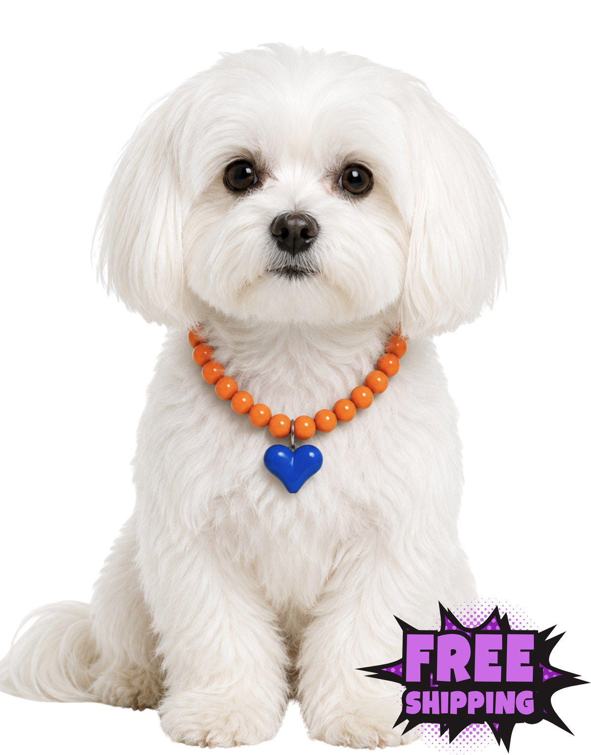SHOW THEM THE LOVE NECKLACE-DENVER BRONCOS DOG