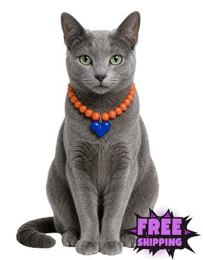 SHOW THEM THE LOVE NECKLACE-DENVER BRONCOS KITTY