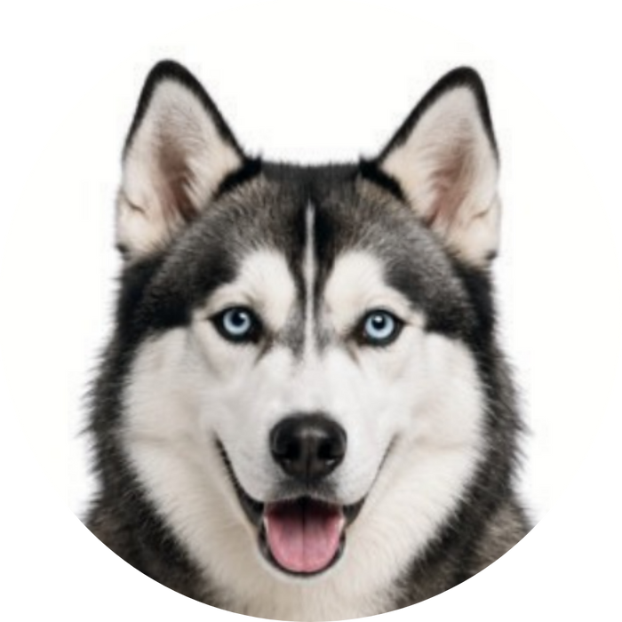 When Will I Be Charged for My Mail Subscription?