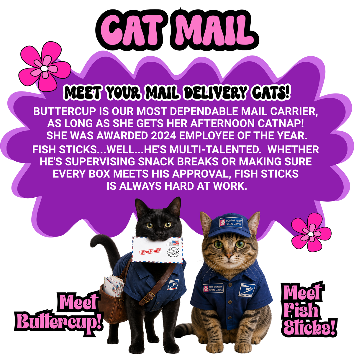CAT MAIL