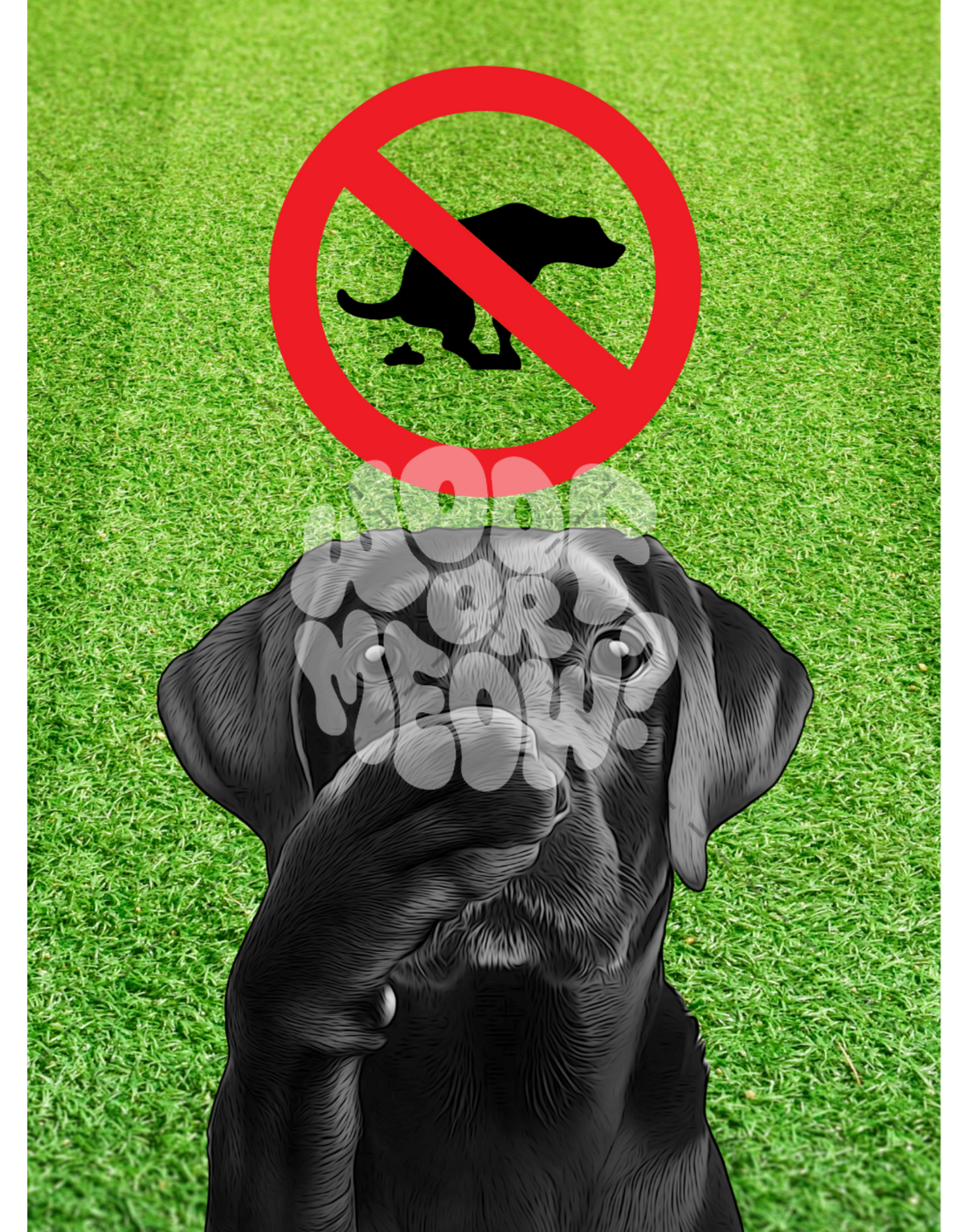 NO POOP ZONE-STICKER