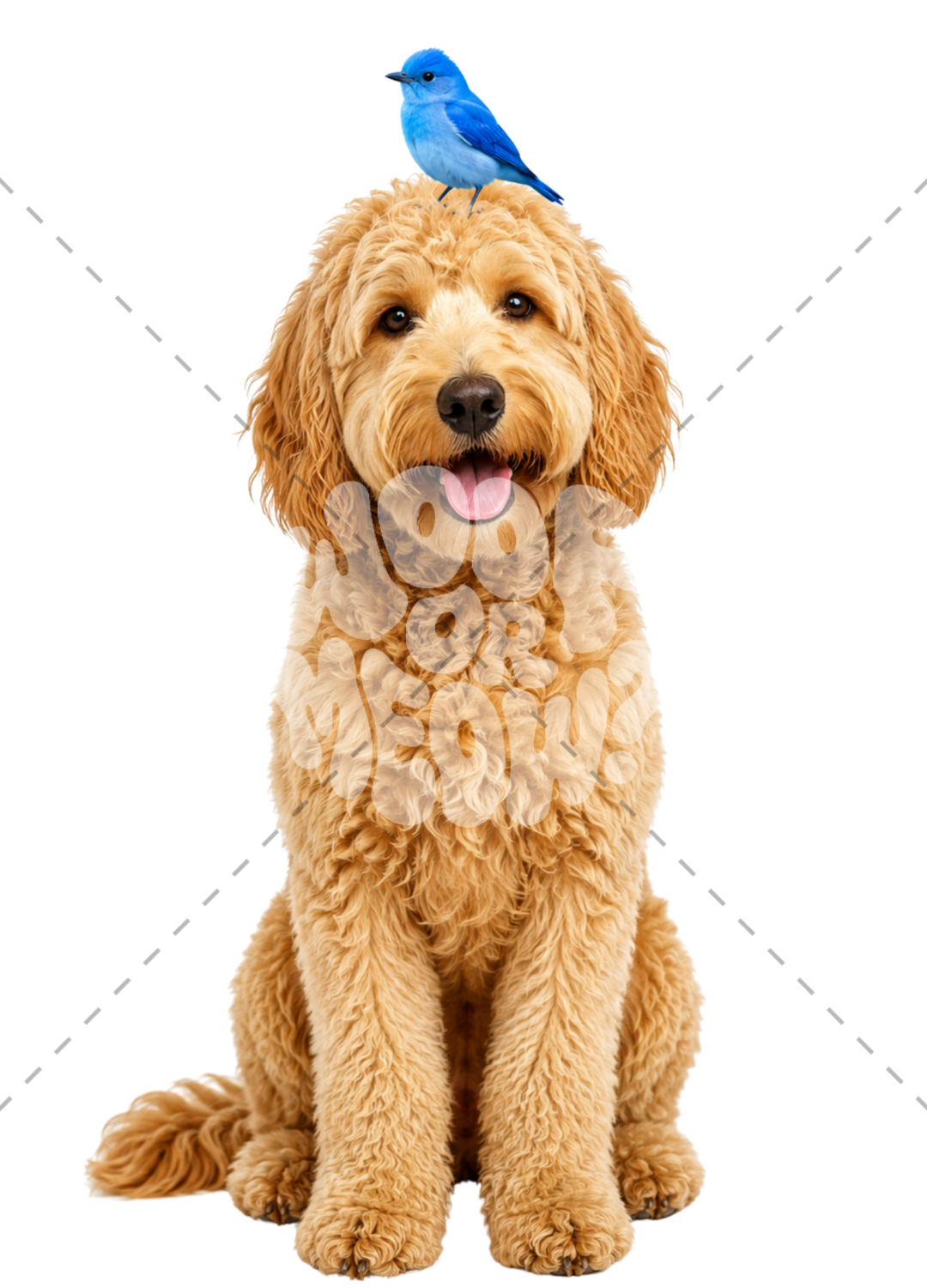 BLUE BIRD ON GOLDENDOODLE-WOMENS T-SHIRT
