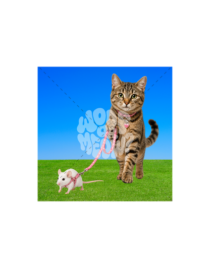 TABBY CAT WALKING COSMO-STICKER