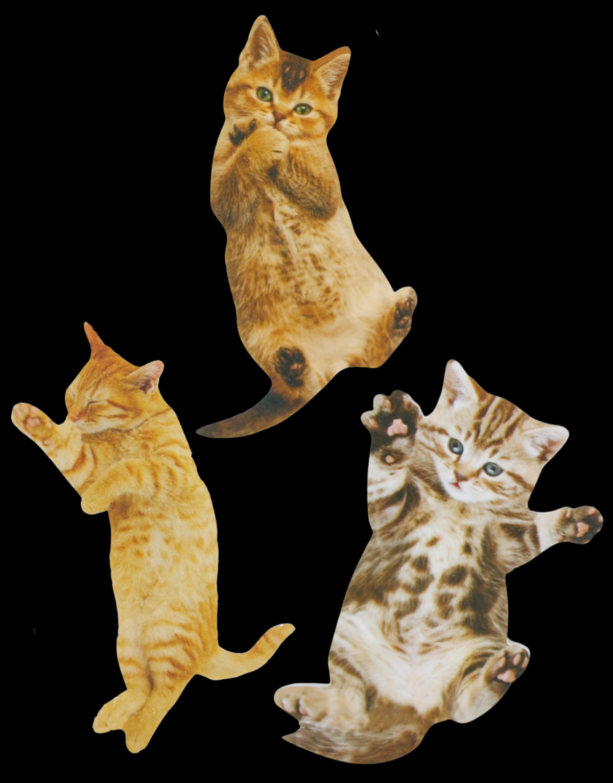 CUTE CAT NAIL FILES