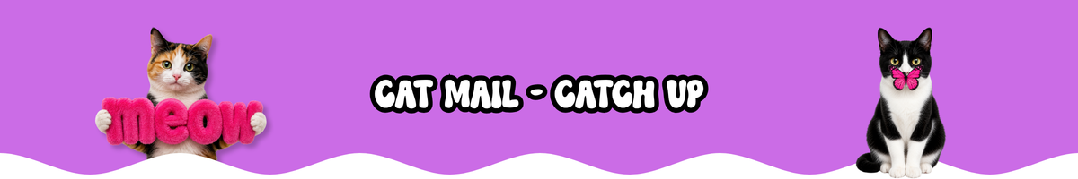 CAT MAIL - CATCH UP