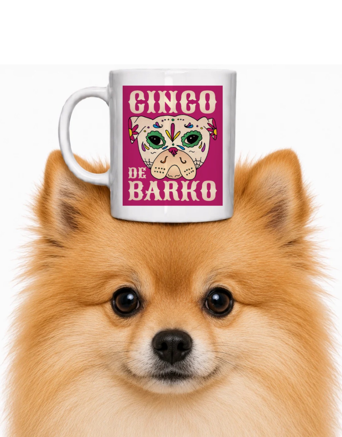 CINCO DE BARKO COFFEE MUG
