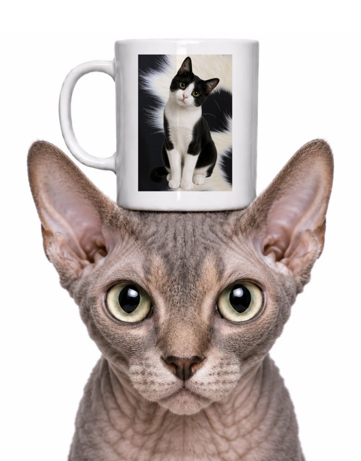 COW CAT COFFEE MUG