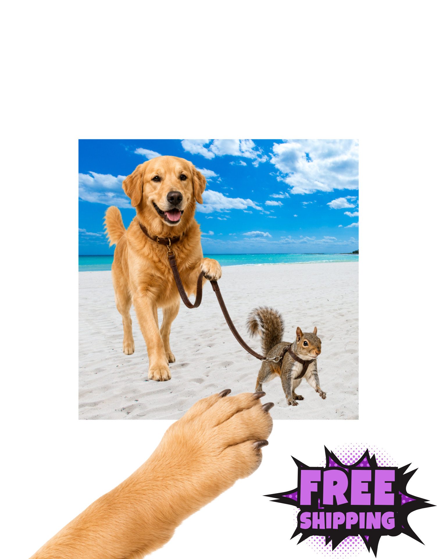 Dog Stickers – WOOF OR MEOW?