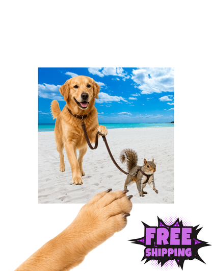 SOMETIMES YOU CHASE THE SQUIRREL...SOMETIMES YOU WALK IT! - STICKER