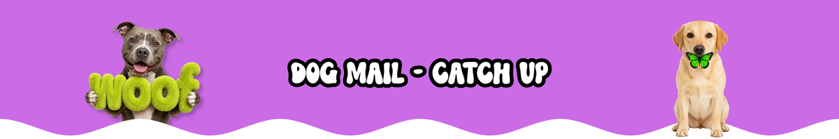 DOG MAIL - CATCH UP
