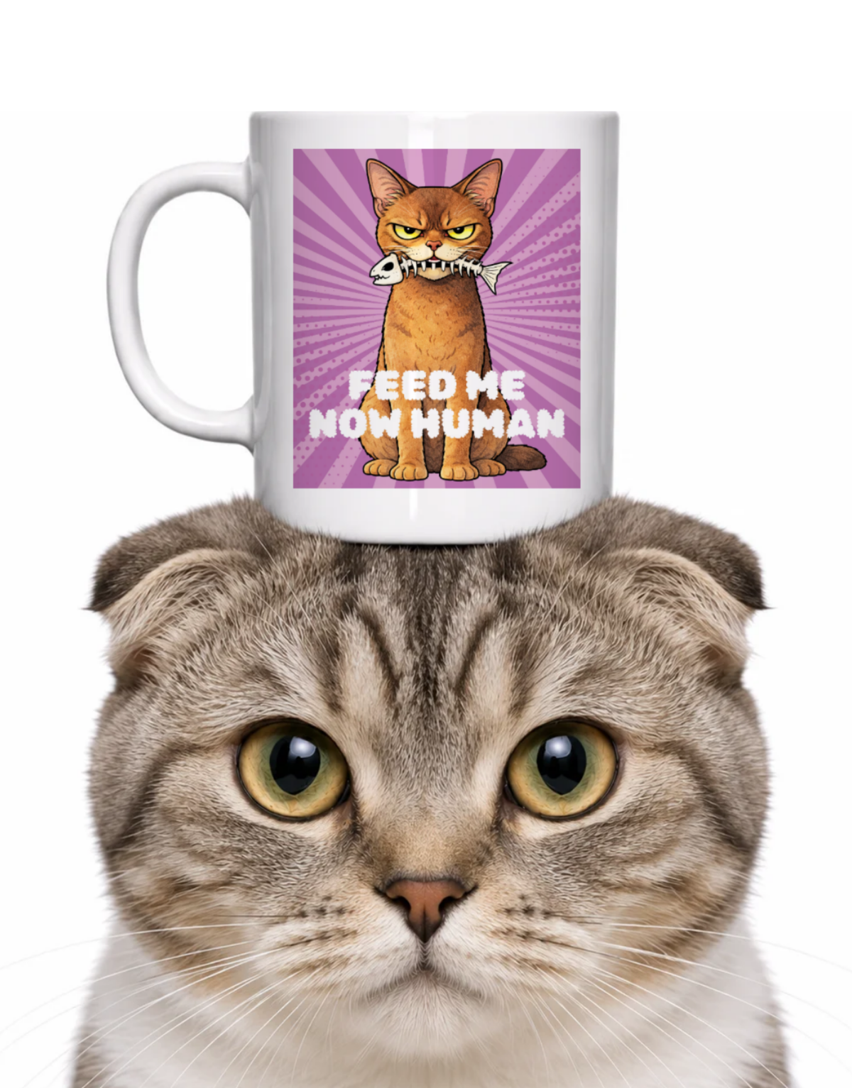FEED ME HUMAN COFFEE MUG