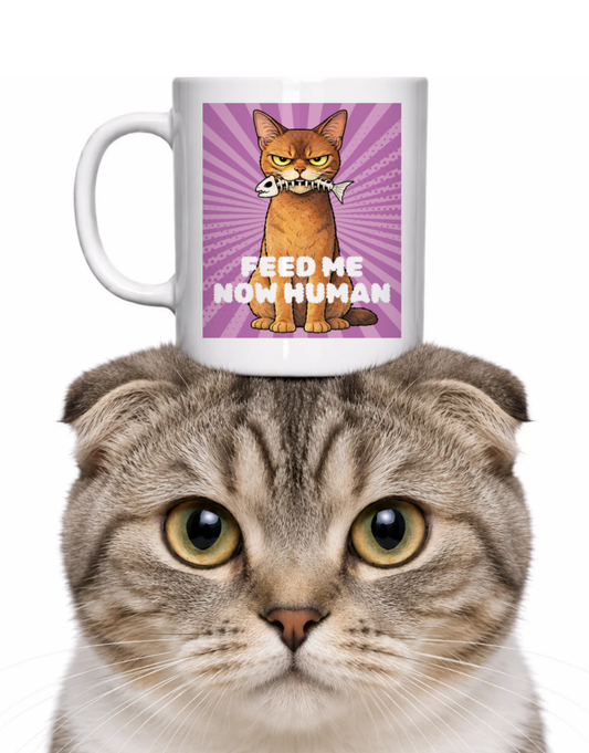 FEED ME HUMAN COFFEE MUG