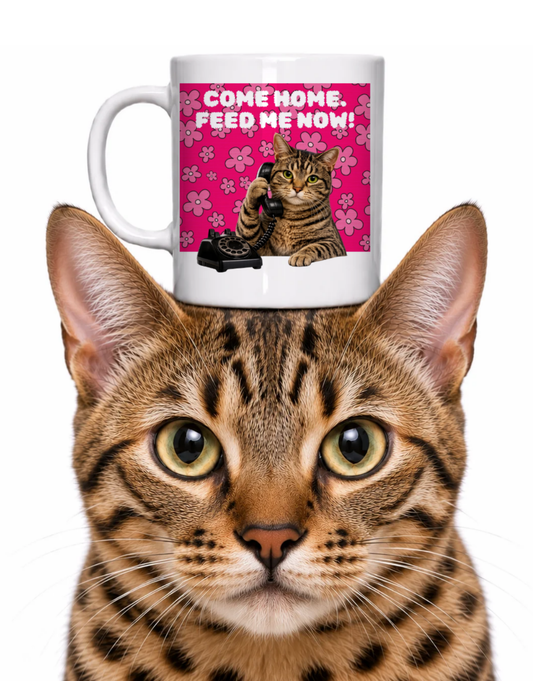 CAT ON PHONE-FEED ME COFFEE MUG