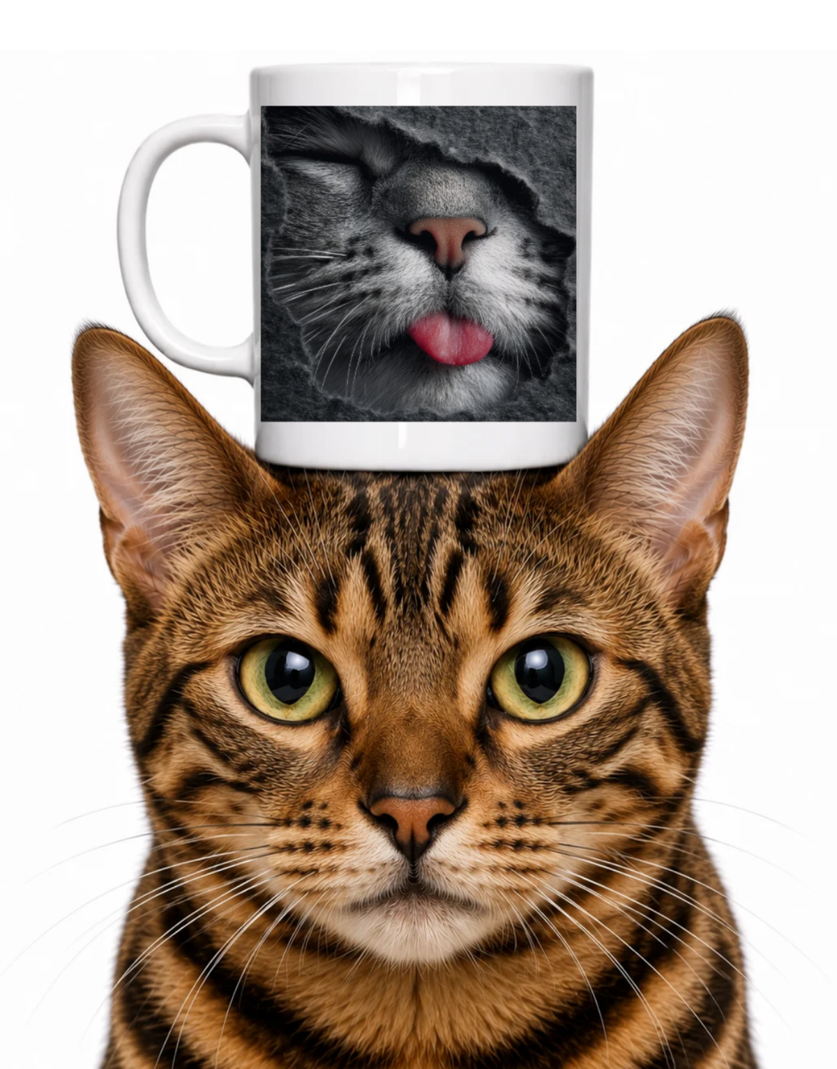 GRAY CAT PEEKING COFFEE MUG