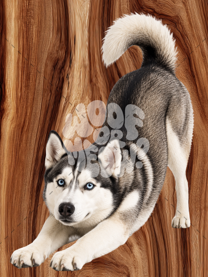 HUSKY DOG COFFEE MUG