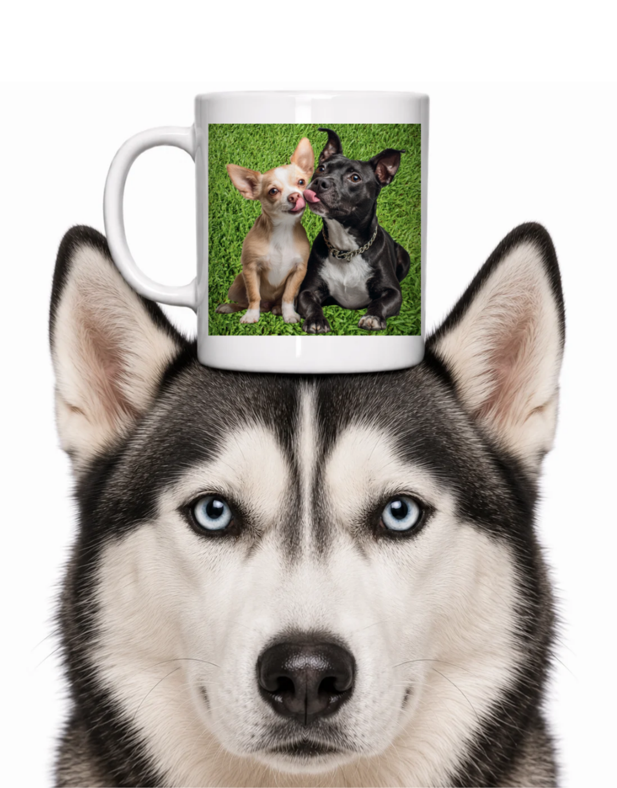 KISSING CHIHAUHAU COFFEE MUG