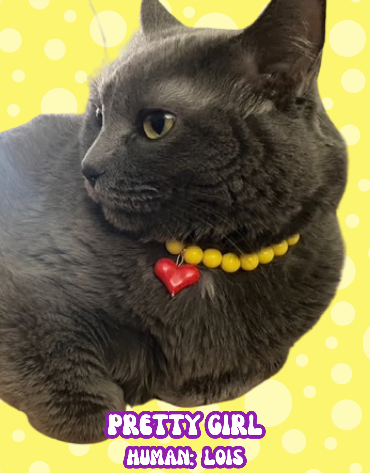 SHOW THEM THE LOVE NECKLACE-KANSAS CITY CHIEFS KITTY