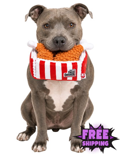 FRIED CHICKEN DOG TOY