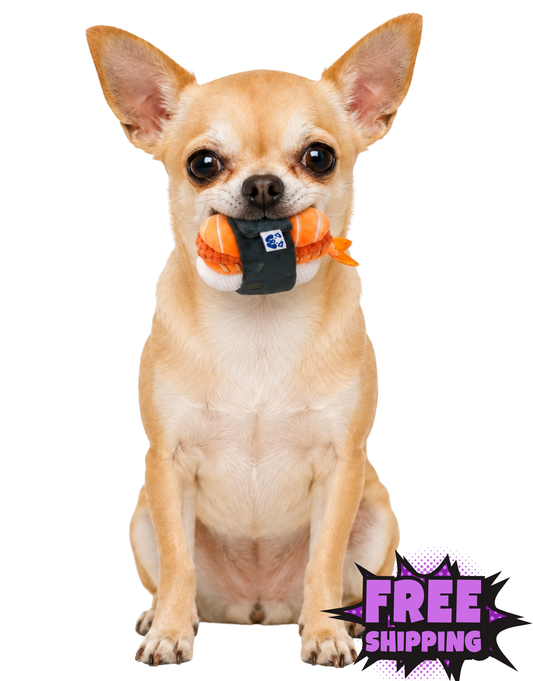 SUSHI SET DOG TOY