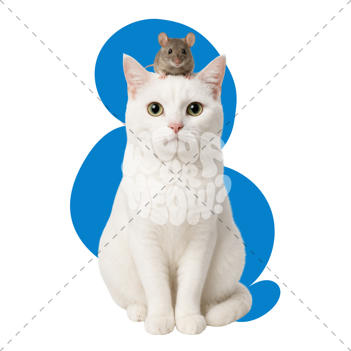 A white cat sits centered against a white background with two blue abstract shapes behind it. A small gray mouse is perched on the cat's head.