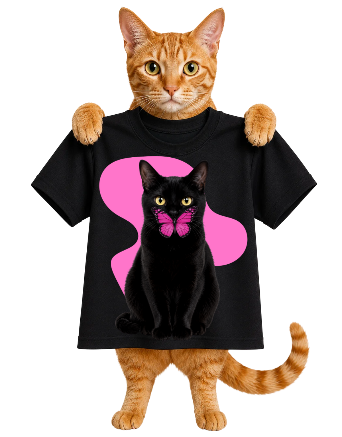 A BLACK CATS SOFTER SIDE-WOMENS T-SHIRT