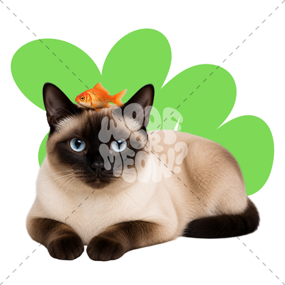 A Siamese cat lying down with a small orange fish on its forehead, set against a white background with a green abstract shape and a large semi-transparent 'WOOF MEOW?' watermark across the center.