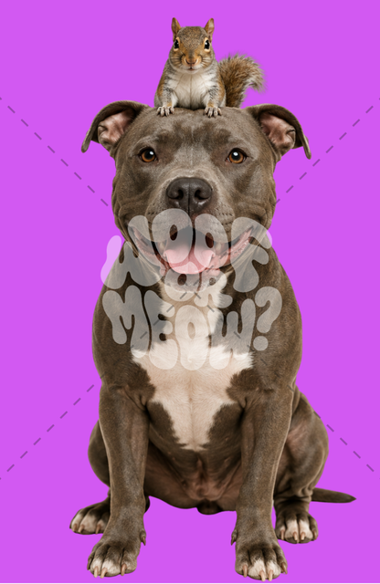 PITBULL AND SQUIRREL FRIEND COFFEE MUG