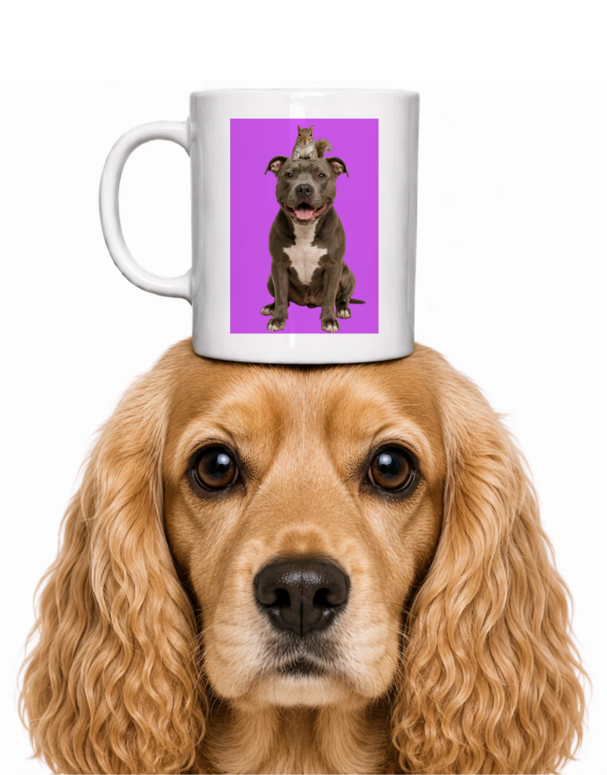 PITBULL AND SQUIRREL FRIEND COFFEE MUG