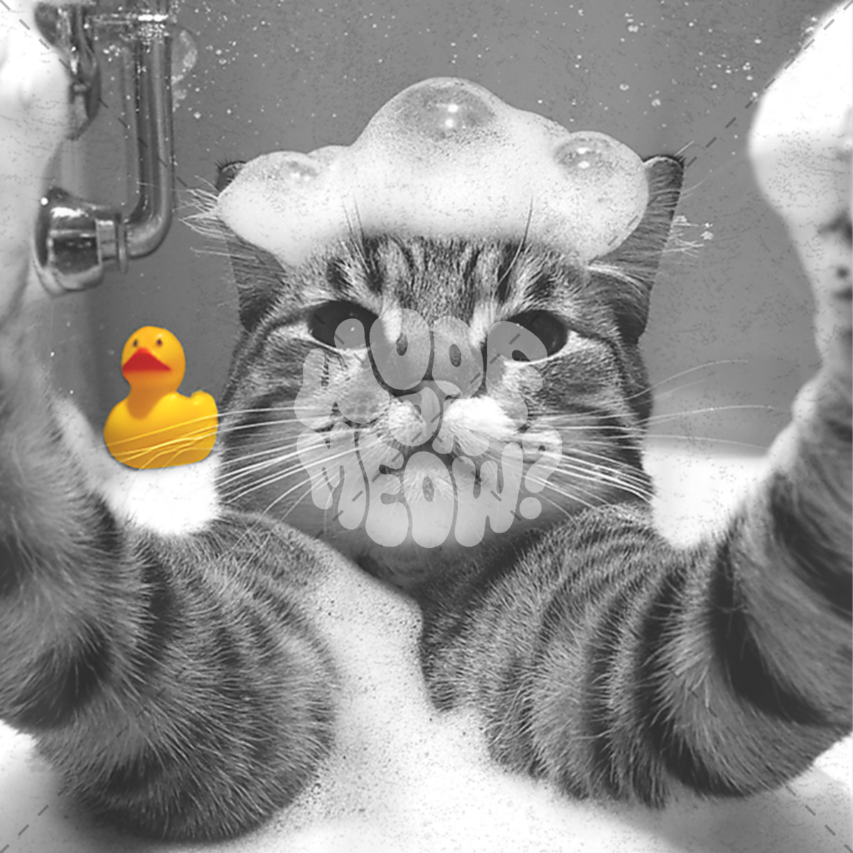 A gray-and-white photo of a cat in a bathtub with foam, holding its paws up, with a yellow rubber duck floating nearby. The cat's face is obscured by large white text reading 'ROAR MEOW?'.