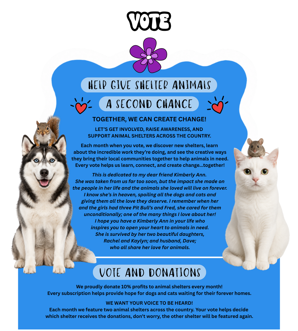 Vote for shelter