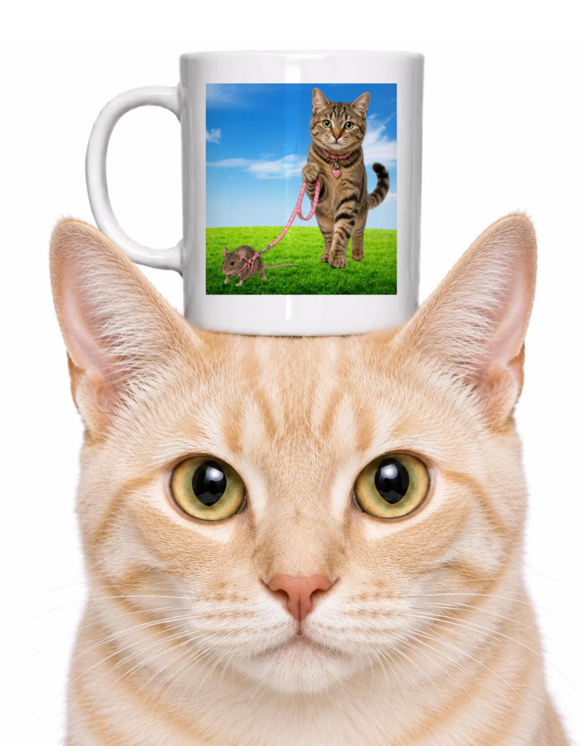 CAT WALKING PET MOUSE COFFEE MUG