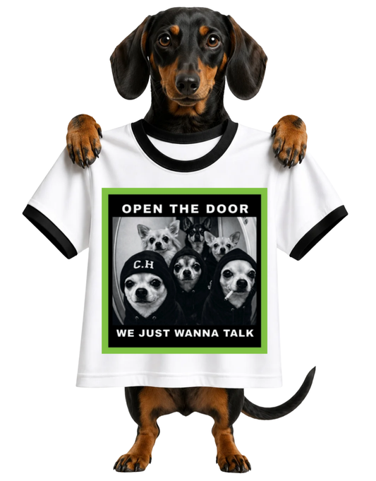 THEY JUST WANT TO TALK-RINGER T-SHIRT