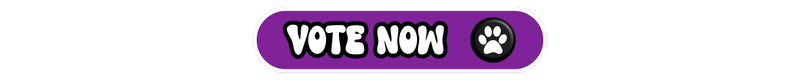 Featured this month