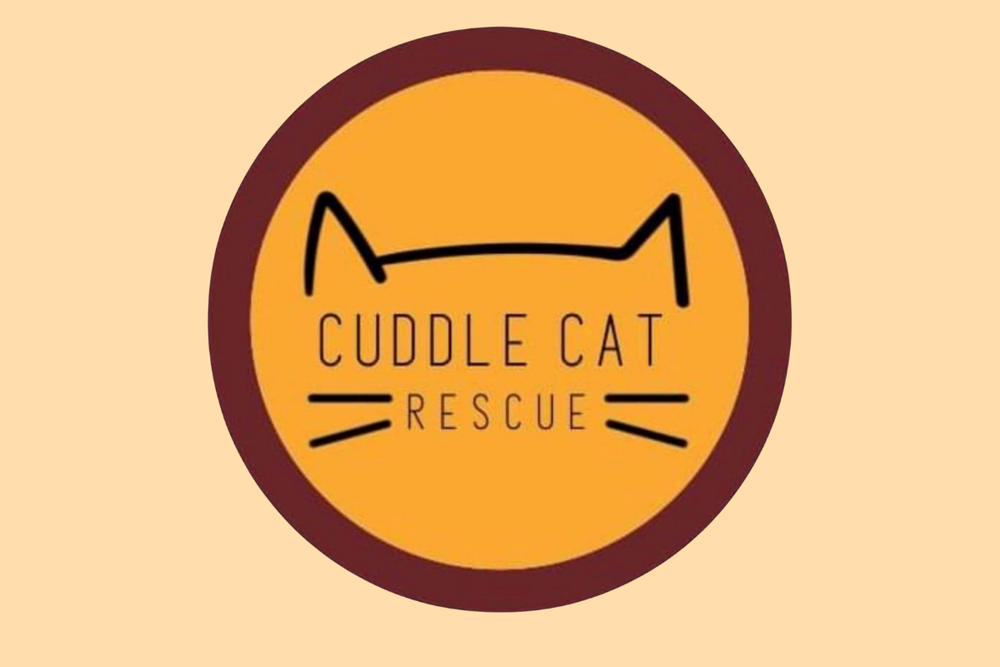 CAT CUDDLE RESCUE